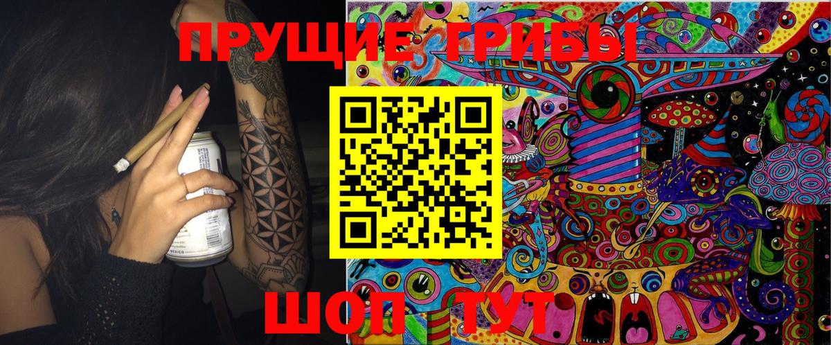 Псилоцибиновые грибы Cubensis  Галлюциногенные грибы GOLDEN TEACHER  Борзя 