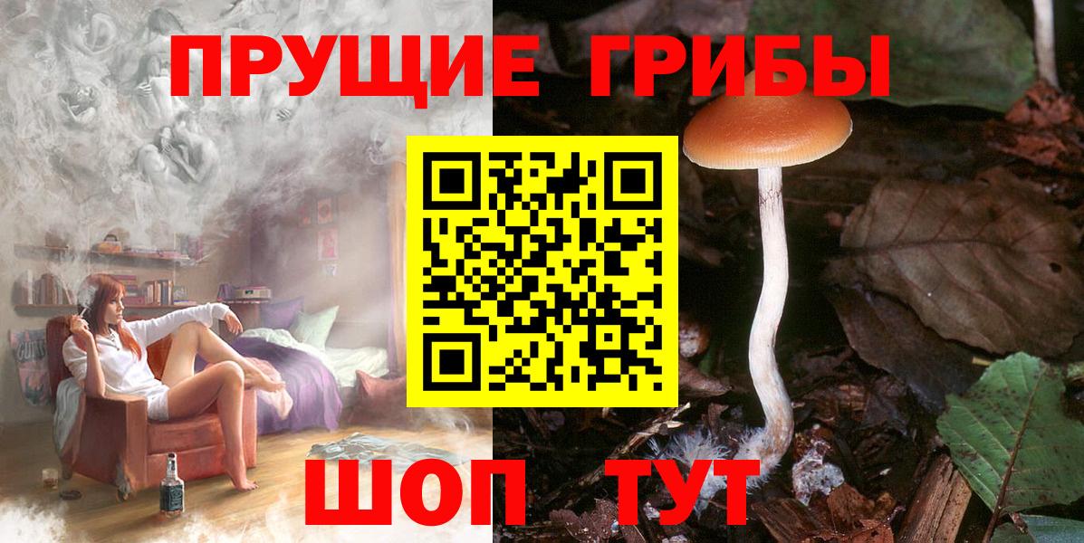 где купить наркоту  Вход с VPN  Борзя  Галлюциногенные грибы мицелий 