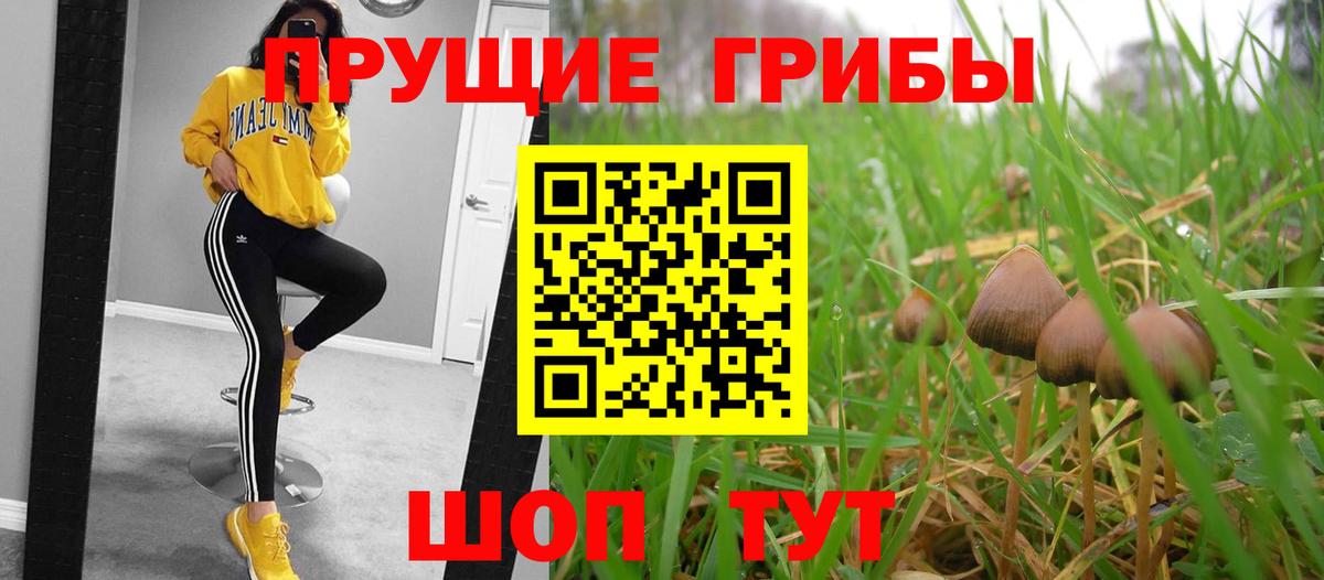 Псилоцибиновые грибы мухоморы Борзя